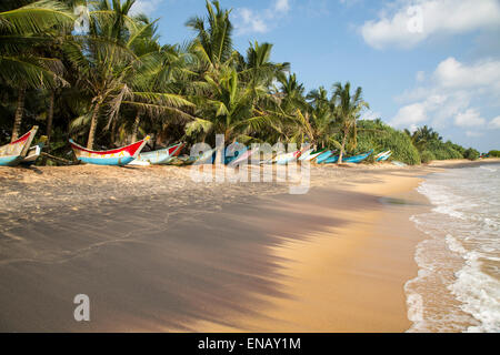 Dai colori vivaci canoe pesca sotto palme di cocco di spiaggia sabbiosa tropicale, Mirissa, Sri Lanka, Asia Foto Stock