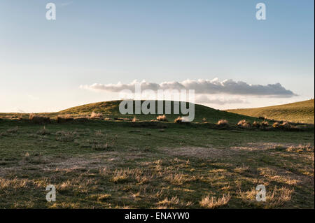 Vicino a New Radnor, Powys, Wales, Regno Unito. Bryn-Y-Maen (Pedwar Maen) o neolitico Età del Bronzo tumulo (round barrow o tumulo) Foto Stock