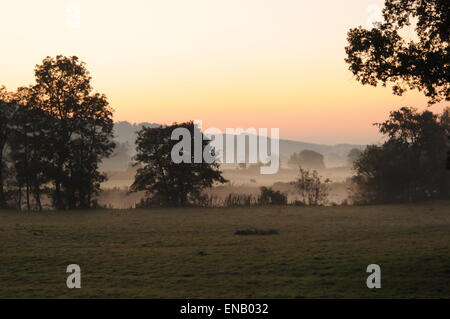 La mattina presto sulla valle Taw, North Devon; gli agricoltori i campi adiacenti al fiume Taw nei primi Nebbia di mattina Foto Stock