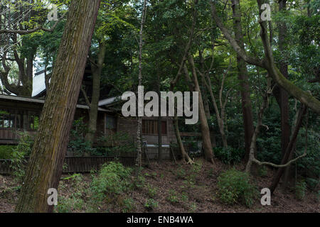 Casa in legno in un parco a Odawara, nella prefettura di Kanagawa, Giappone Foto Stock