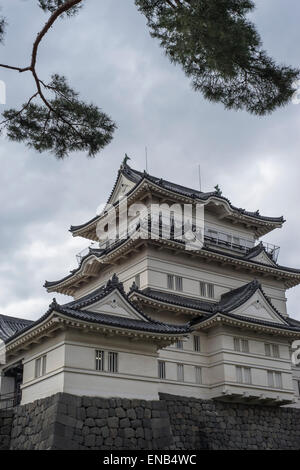 Vista del castello di Odawara, nella prefettura di Kanagawa, Giappone Foto Stock