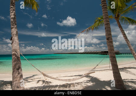 Amaca vuoti tra palme sulla spiaggia tropicale delle Maldive. Foto Stock