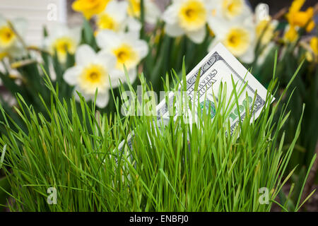 Dollar banconota in crescita in erba verde Foto Stock