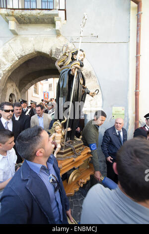 Cocullo, Italia. Il 1 maggio, 2015. Ogni anno a Cocullo (Abruzzo, Italia) si tiene un festival unico in onoour di san Domenico, protettore da Snake bite. La tradizione è antica come l essere umano sulla terra perché snake rappresentano il collegamento tra uman vita e la madre terra. I serpenti nella foto sono 'quattro rivestita snake' (Elaphe quatuorlineata). Serpari (questo è il nome del popolo che vive di suoneria serpente) è il solo le persone in Europa con il permesso di caccia e detenere serpenti, che verrà liberato i giorni dopo il festival Credito: Francesco Gustincich/Alamy Live News Foto Stock