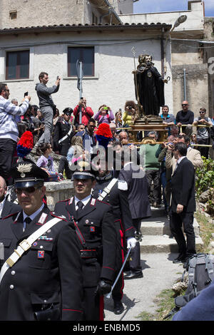 Cocullo, Italia. Il 1 maggio, 2015. Ogni anno a Cocullo (Abruzzo, Italia) si tiene un festival unico in onoour di san Domenico, protettore da Snake bite. La tradizione è antica come l essere umano sulla terra perché snake rappresentano il collegamento tra uman vita e la madre terra. I serpenti nella foto sono 'quattro rivestita snake' (Elaphe quatuorlineata). Serpari (questo è il nome del popolo che vive di suoneria serpente) è il solo le persone in Europa con il permesso di caccia e detenere serpenti, che verrà liberato i giorni dopo il festival Credito: Francesco Gustincich/Alamy Live News Foto Stock