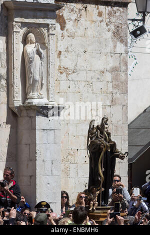 Cocullo, Italia. Il 1 maggio, 2015. Ogni anno a Cocullo (Abruzzo, Italia) si tiene un festival unico in onoour di san Domenico, protettore da Snake bite. La tradizione è antica come l essere umano sulla terra perché snake rappresentano il collegamento tra uman vita e la madre terra. I serpenti nella foto sono 'quattro rivestita snake' (Elaphe quatuorlineata). Serpari (questo è il nome del popolo che vive di suoneria serpente) è il solo le persone in Europa con il permesso di caccia e detenere serpenti, che verrà liberato i giorni dopo il festival Credito: Francesco Gustincich/Alamy Live News Foto Stock