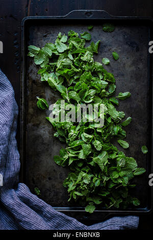 Mint su un vassoio di cottura Foto Stock