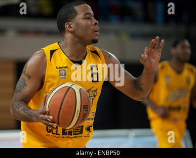 Londra, Regno Unito. Il 1 maggio, 2015. I Lions Point Guard marrone asta [#6] chiede il gioco. BBL Play-Off Semi Finali (prima gamba) London Lions v Cheshire Phoenix. Credito: Stephen Bartolomeo/Alamy Live News Foto Stock