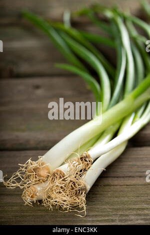 Bundle di prodotti freschi di scalogni su una tavola di legno Foto Stock