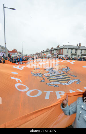 Blackpool Regno Unito, 2 maggio 2015, un gran numero di appassionati di Blackpool football club protesta per il funzionamento e la gestione del club dal proprietario Karl Oyston. Alcuni indossano abiti fantasiosi costumi mock proprietario in un tentativo di ottenere la famiglia al di fuori del club. La prima protesta organizzata provoca alcuni disrubtion per le strade intorno alla terra come il mese di marzo è arrivato in basso Bloomfield Road Credito: Gary Telford/Alamy live news Foto Stock