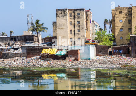 Baraccopoli sulle rive del inquinato Adyar estuario del fiume di Chennai, nello Stato del Tamil Nadu, India meridionale: squallore e povertà del Terzo mondo lifestyle del povero indiano Foto Stock