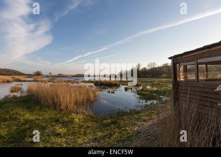 Osservazione nasconde in Leighton Moss RSPB riserva, Lancashire, Inghilterra, Regno Unito Foto Stock