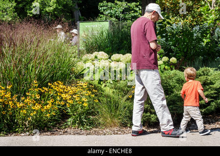 Chicago Illinois, North Side, Lincoln Park, parco pubblico, passeggiata nella natura, fiori, Susan con occhi neri, adulti uomo uomo uomini maschio, ragazzo ragazzi papà capretto bambini ch Foto Stock