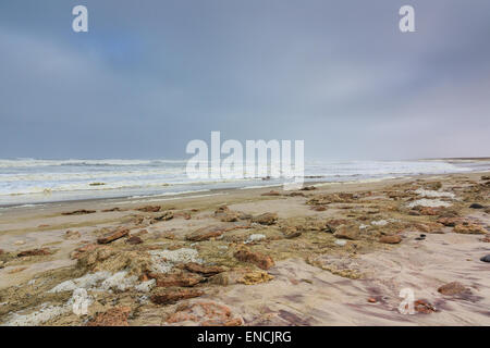 Dark Sky spiaggia rocciosa e skeleton coast la Namibia, Africa. Dove il deserto incontra l'oceano atlantico. La laminazione delle onde e spray e la nebbia Foto Stock