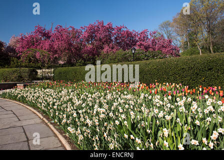 Il giardino nel Central Park di New York City Foto Stock