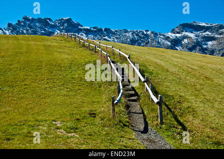 Agosto la neve nelle montagne del Trentino Alto Adige Foto Stock