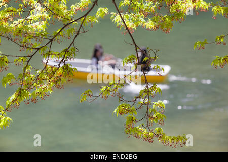 Lakeside scene in primavera - giovani ragazze a una barca a remi Foto Stock