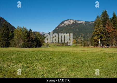 Pascolo vicino Ödensee con vista Rötelstein, Stiria, Austria Foto Stock