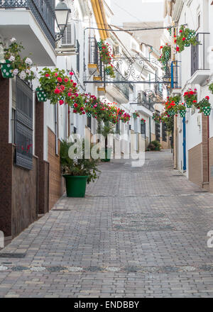 In acciottolato stretto colorato back street con molti fiori a Estepona Spagna sulla Costa del Sol Foto Stock
