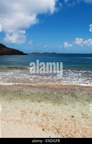 St Barth, St. Barths, Saint-Barthélemy, French West Indies, Antille francesi, dei Caraibi Foto Stock