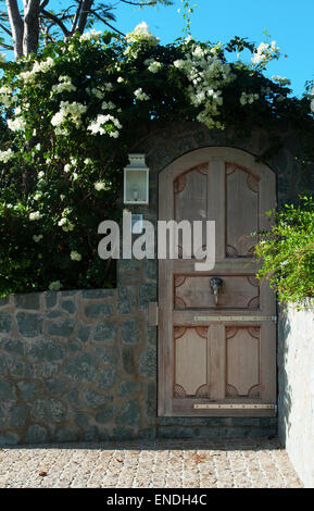 St Barth, St. Barths, Saint-Barthélemy, French West Indies, Antille francesi, dei Caraibi: piante rampicanti su una parete e un decorato con legno porta Foto Stock