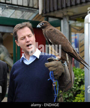 Newhaven, Sussex, Regno Unito. Il 3 maggio, 2015. Nick Clegg il leader dei democratici liberali e vice primo ministro soddisfa e detiene un ombra Gyr Falcon durante la sua visita al Paradise Park Center Newhaven oggi Shadow è di proprietà di Steve Charlton dal Sussex Falconry Centre Credito: Simon Dack/Alamy Live News Foto Stock