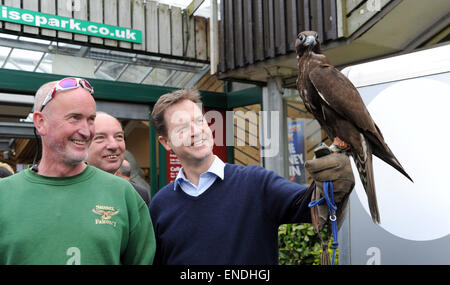 Newhaven, Sussex, Regno Unito. Il 3 maggio, 2015. Nick Clegg il leader dei democratici liberali e vice primo ministro soddisfa e detiene un ombra Gyr Falcon durante la sua visita al Paradise Park Center Newhaven oggi Shadow è di proprietà di Steve Charlton dal Sussex Falconry Centre Credito: Simon Dack/Alamy Live News Foto Stock