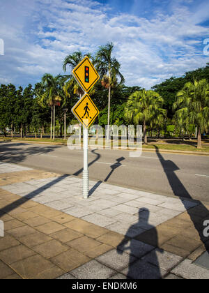 Ombre contro un marciapiede e la strada con il verde degli alberi e il blu del cielo nella parte posteriore Foto Stock