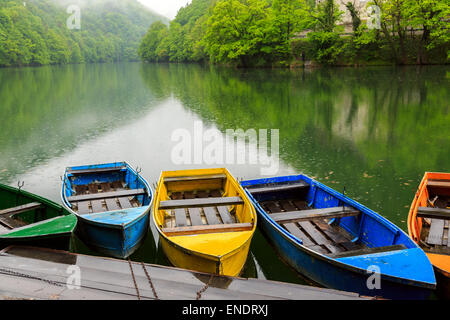 Barche sul lago Hamori vicino a Lillafured in Ungheria Foto Stock