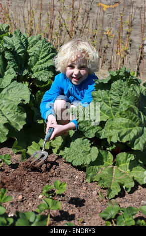 Capelli biondi boy scavando nel giardino sulla giornata di sole Foto Stock