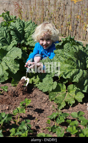 Capelli biondi boy scavando nel giardino sulla giornata di sole Foto Stock