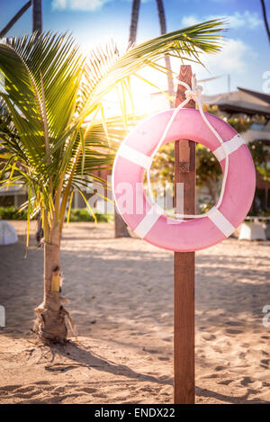 La vita della cinghia sulla spiaggia caraibica in Repubblica Dominicana Foto Stock