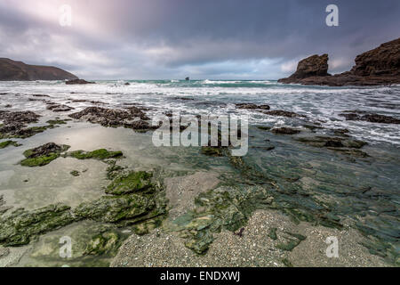 Trevellas Porth Beach al crepuscolo guardando attraverso le alghe disseminata beach Foto Stock