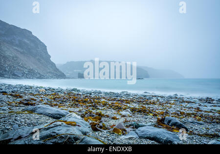 Trevellas porth attraverso la ghiaia e alghe marine in una nebbiosa giorno Foto Stock