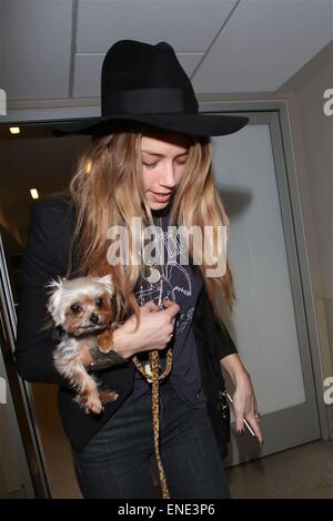 Ambra sentita indossando una grande corona diamantata sul suo matrimonio dito, partono dall'Aeroporto Internazionale di Los Angeles (LAX) indossa una vasta floppy colmato hat e trasportare il suo animale domestico Yorkshire Terrier cane nelle sue braccia con: ambra sentita dove: Los Angeles, California, Stati Uniti quando: 29 Ott 2014 Foto Stock
