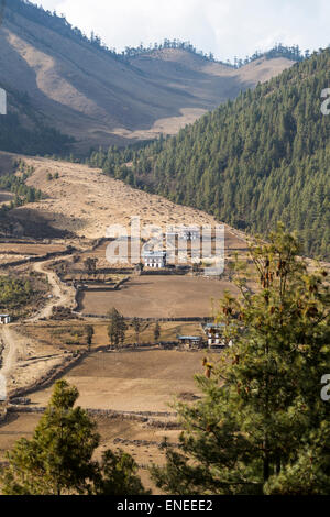 Terreno coltivato nella valle di Phobjikha, Western Bhutan - Asia Foto Stock