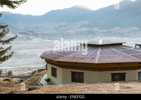 Nero-gru a collo alto centro valle Phobjikha, Western Bhutan - Asia Foto Stock