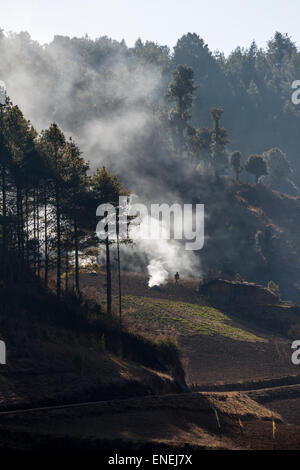 Campagna vicino Rukubji, Wangdue Phodrang, Western Bhutan - Asia Foto Stock