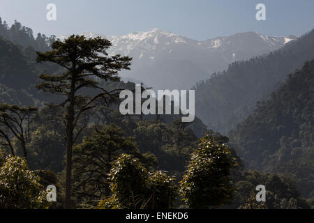 Principali est-ovest della strada e campagna tra Chendebji e Trongsa, Occidentale e Centrale e Bhutan - Asia Foto Stock