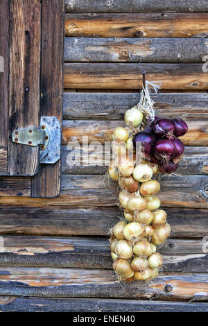 Treccia di cipolla Foto Stock