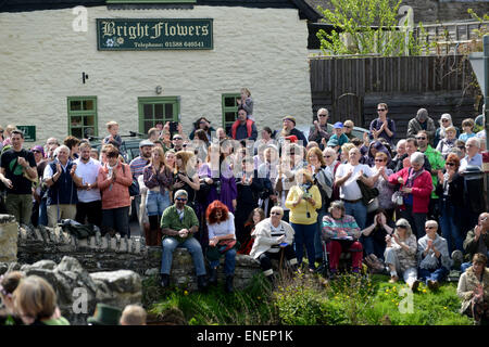 Clun, Shropshire, Regno Unito. Il 4 maggio, 2015. L'uomo verde ha fatto battaglia con con la regina di ghiaccio su un antico ponte di pietra nella città di Clun nello Shropshire oggi. L annuale giorno di maggio festa pagana ha avuto luogo nella luce del sole come il verde uomo sconfisse il pupazzo di neve con la regina di ghiaccio e bandito inverno prima di scortare il suo può regina del festival. Credito: David Bagnall/Alamy Live News Foto Stock