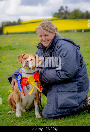 I cani e i loro proprietari prendere parte in un Alvechurch Club di Equitazione mostra nella speranza che la loro abilità di canino può aiutarli a vincere premi Foto Stock