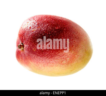 Tutta la frutta di mango e gocce d'acqua, rosso, i colori verde e giallo - sfondo bianco Foto Stock