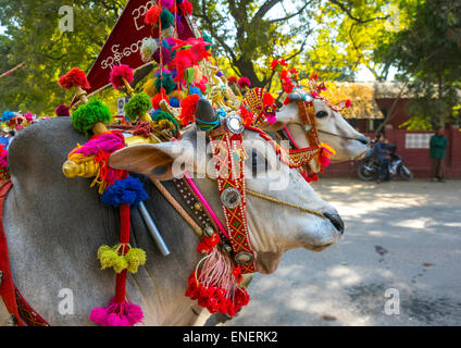 Decorate Ox carrello durante una parata novizio, Bagan, Myanmar Foto Stock