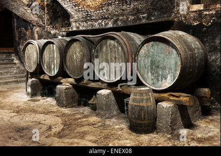 Riga di legno di vecchie botti di rovere in una cantina di vini in una cantina per la produzione e la maturazione dei vini locali Foto Stock