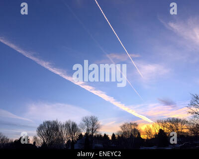 Jet contrails su boschi. Foto Stock