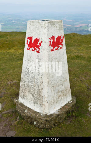 Il punto di innesco con Drago gallese sulla sommità di Mynydd Troed in Montagna Nera Powys Mid-Wales REGNO UNITO Foto Stock