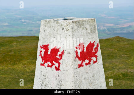 Il punto di innesco con Drago gallese sulla sommità di Mynydd Troed in Montagna Nera Powys Mid-Wales REGNO UNITO Foto Stock