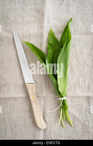 Fresco di aglio selvatico foglie con un coltello sul lino naturale tovaglia Foto Stock