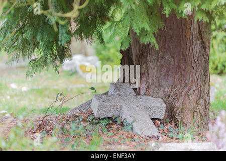 Un trascurato Lapide Caduti croce sotto un albero maturo Foto Stock